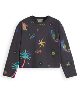 Embroidered sweatshirt