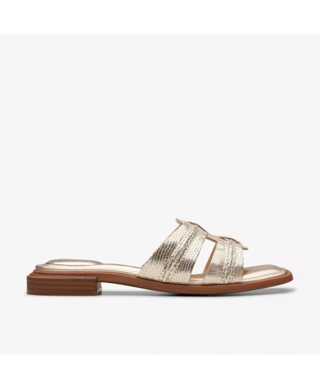 Ariany Mule Champagne Interest
